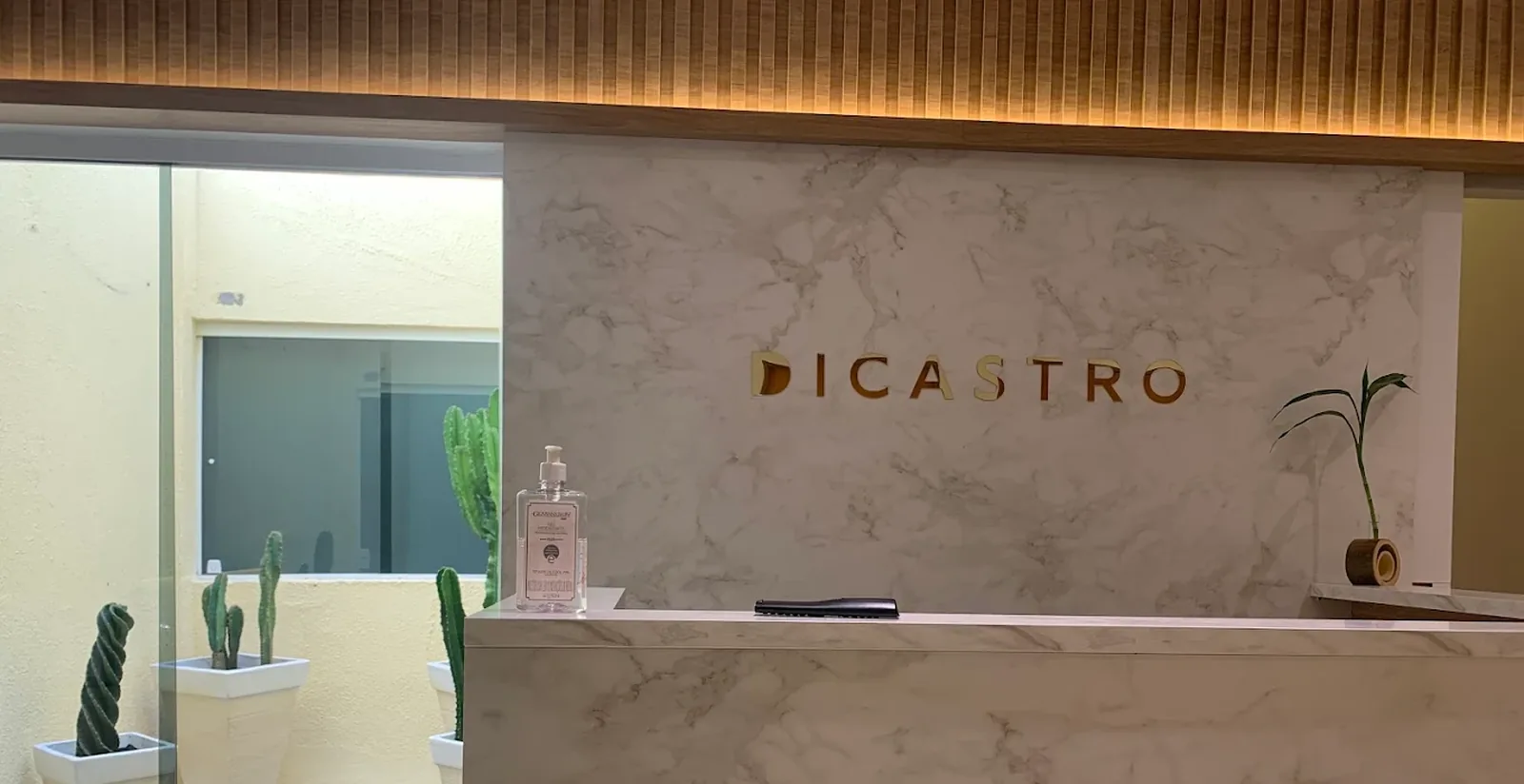 Recepção do Studio Di Castro: balcão de mármore branco com o nome DICASTRO aplicado em dourado na parede, ripado de madeira com luz quente e cactos vistos pela vidraça.